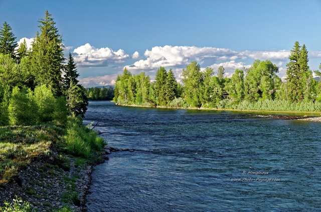 Au bord de la Snake River
Parc national de Grand Teton, Wyoming, USA
Mots-clés: grand_teton wyoming usa categ_ete riviere montagne_usa foret_usa