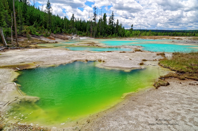 Au bord du Cracking lake
Norris geyser basin, parc national de Yellowstone, Wyoming, USA
Mots-clés: source_thermale yellowstone wyoming usa categorielac foret_usa conifere