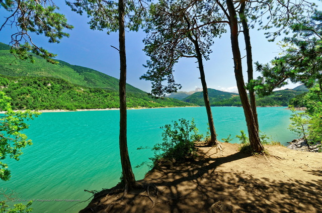 Balade en forêt le long du lac de Monteynard-Avignonet 
Isère, France
Mots-clés: vercors categ_ete forets_du_vercors