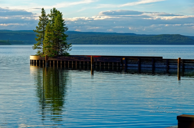 Au bord du lac de Yellowstone à  Grant Village
Parc national de Yellowstone, Wyoming, USA
Mots-clés: yellowstone wyoming usa categorielac categ_ete reflets conifere