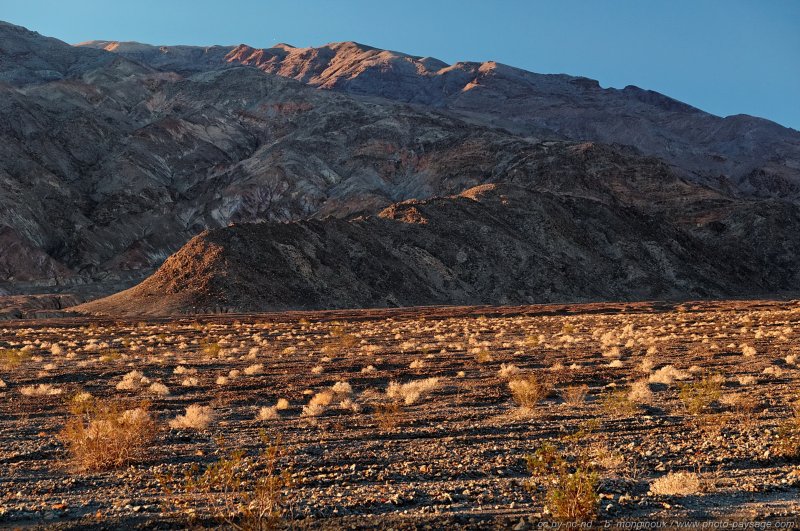 Au petit matin dans le désert de la Vallée de la Mort
Death Valley National Park, Californie, USA
Mots-clés: californie usa nature desert montagne_usa