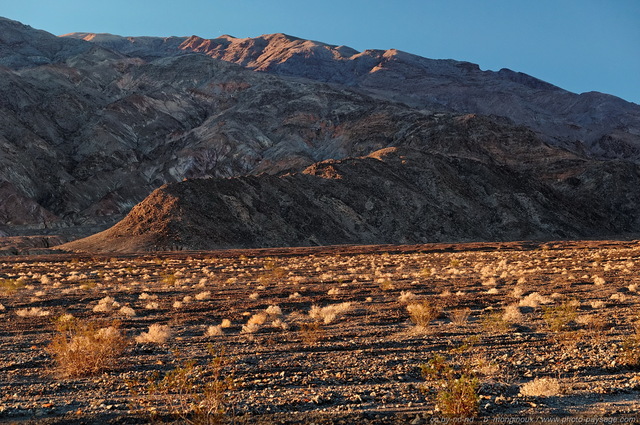 Au petit matin dans le désert de la Vallée de la Mort
Death Valley National Park, Californie, USA
Mots-clés: californie usa nature desert montagne_usa