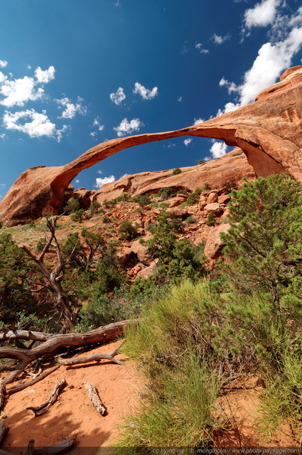 Au pied de Landscape Arch
Arches National Park, Utah, USA
Mots-clés: USA etats-unis utah arche_naturelle landscape_arch desert cadrage_vertical