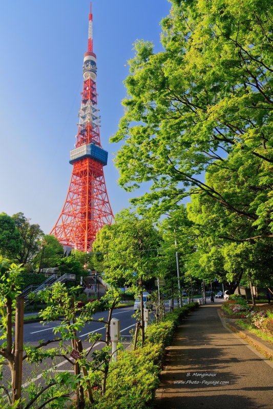 Balade au pied de la tour de Tokyo
Tokyo, Japon
Mots-clés: cadrage_vertical