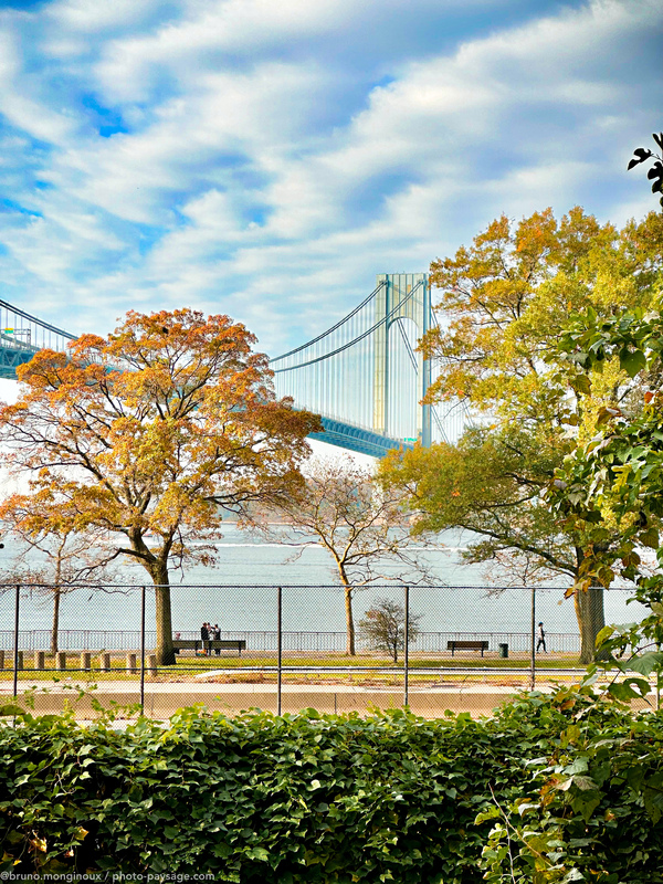 Automne à Brooklyn 
En arrière plan, le pont Verrazzano-Narrows reliant Brooklyn à Staten Island
New-York, USA
Mots-clés: Pont automne les_plus_belles_images_de_ville belles-photos-automne cadrage_vertical