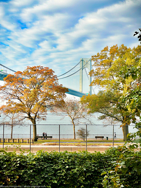 Automne à Brooklyn 
En arrière plan, le pont Verrazzano-Narrows reliant Brooklyn à Staten Island
New-York, USA
Mots-clés: Pont automne les_plus_belles_images_de_ville belles-photos-automne cadrage_vertical