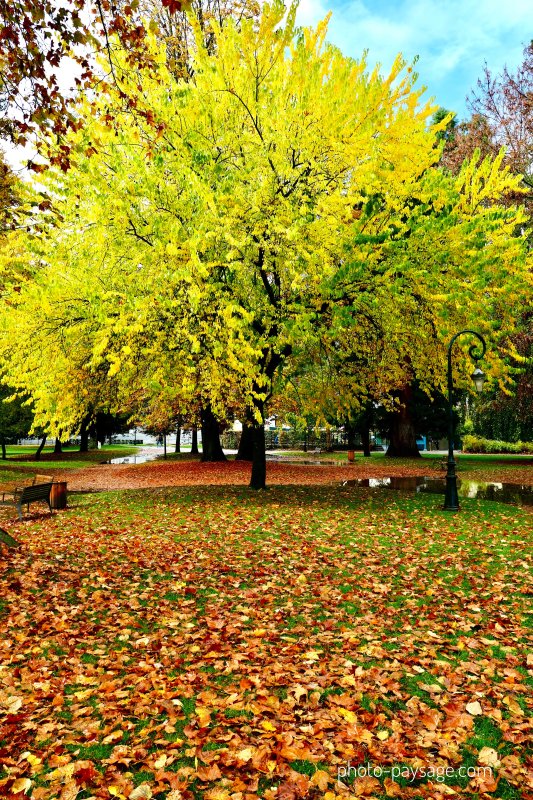 Les couleurs de l'automne à Annecy
Jardins de l'Europe, Annecy, Haute-Savoie
Mots-clés: belles-photos-automne automne annecy