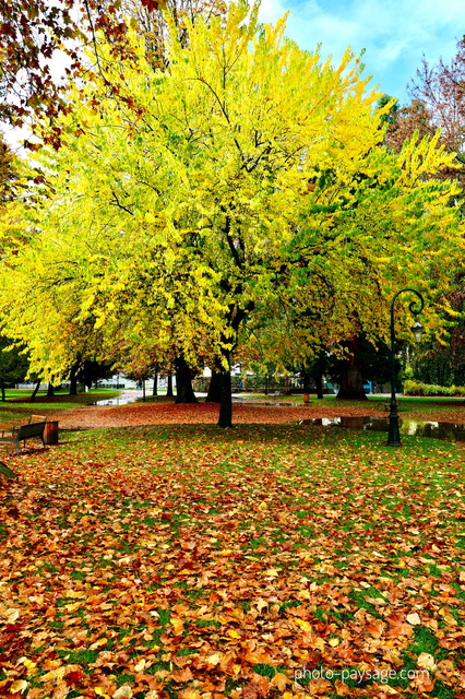Les couleurs de l'automne à  Annecy
Jardins de l'Europe, Annecy, Haute-Savoie
Mots-clés: belles-photos-automne automne annecy
