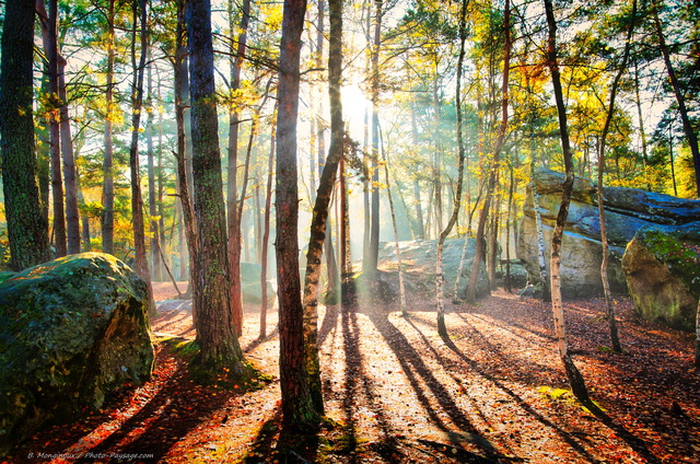 Automne dans la foret des trois pignons 07
Massif des Trois Pignons, forêt de Fontainebleau
Seine et Marne, France
Mots-clés: fontainebleau foret_des_trois_pignons noisy-sur-ecole seine_et_marne automne bouleau rocher rayon_de_soleil_en_foret