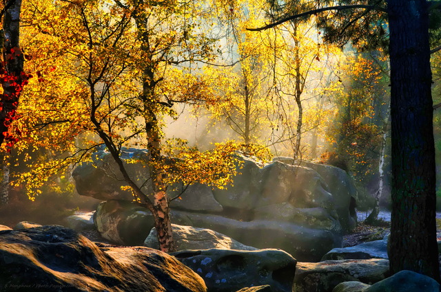 Automne dans la foret des trois pignons 09
Massif des Trois Pignons, forêt de Fontainebleau
Seine et Marne, France
Mots-clés: belles-photos-automne fontainebleau les_plus_belles_images_de_nature foret_des_trois_pignons noisy-sur-ecole seine_et_marne automne bouleau rocher rayon_de_soleil_en_foret