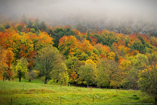 Automne dans la vallée du lac d'Annecy
Haute-Savoie
Mots-clés: annecy automne belles-photos-automne categorieautreforet