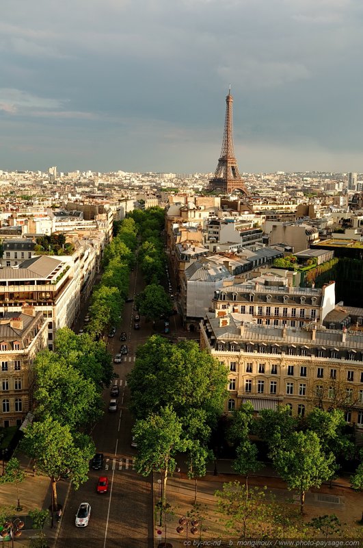 Avenue d'Iéna et Tour Eiffel
[Paris photographié depuis le toit de l'Arc de Triomphe]

Mots-clés: paris paysage_urbain tour_eiffel cadrage_vertical