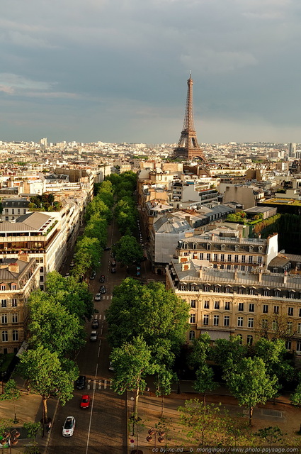 Avenue d'Iéna et Tour Eiffel
[Paris photographié depuis le toit de l'Arc de Triomphe]

Mots-clés: paris paysage_urbain tour_eiffel cadrage_vertical