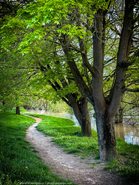 Ballade printanière sur un sentier au bord de la Marne en crue
Les bords de Marne
Mots-clés: Sentier cadrage_vertical printemps