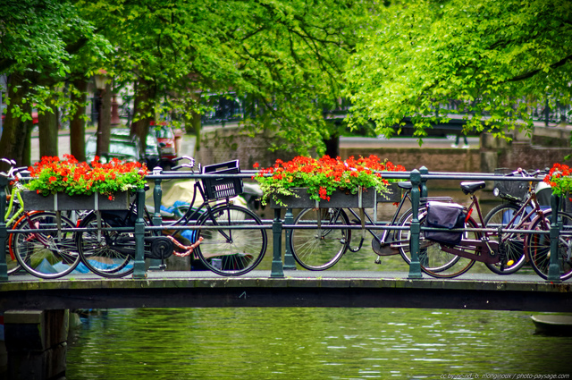 Vélos à  Amsterdam sur une passerelle au-dessus d'un canal
Amsterdam, Pays-Bas
Mots-clés: amsterdam pays-bas hollande paysage_urbain pont canal canaux velo fleurs les_plus_belles_images_de_ville