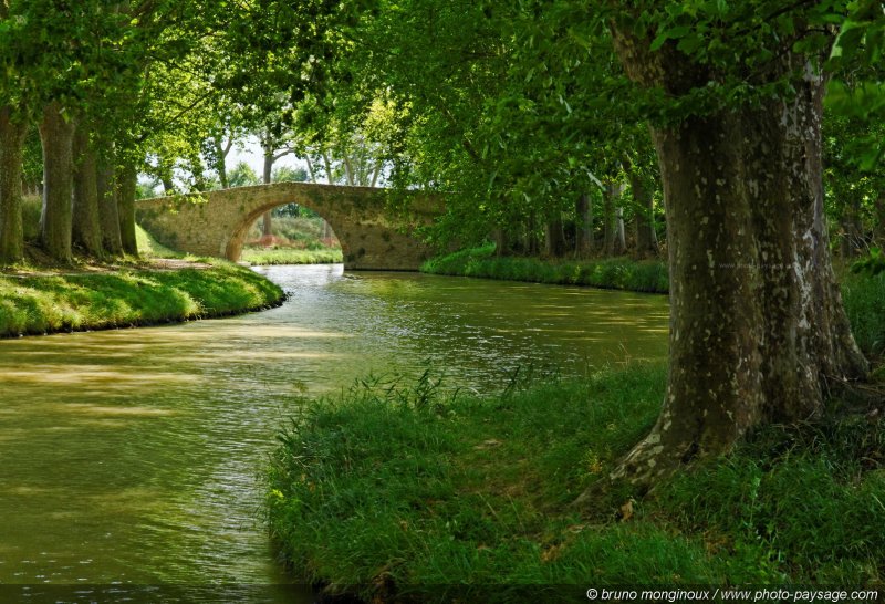 Balade le long du Canal du Midi -04
[Le Canal du Midi]
Mots-clés: canal_du_midi pont_de_pierre regle_des_tiers platane alignement_d_arbre les_plus_belles_images_de_nature