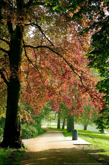 Balade matinale dans un parc de Bruges 
Bruges, Belgique
Mots-clés: Cadrage_vertical chemin printemps hetre