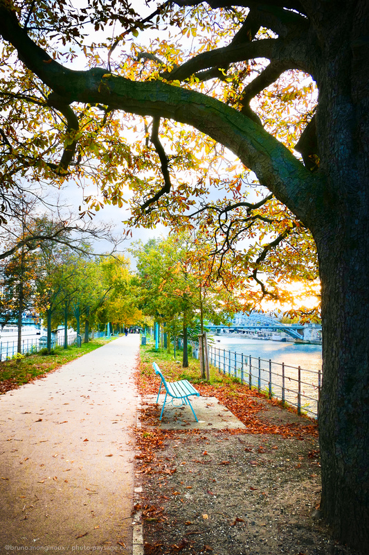 Un banc en automne face a la Seine 
Allée des cygnes, Paris
Mots-clés: Automne cadrage_vertical belles-photos-automne la_seine sentier