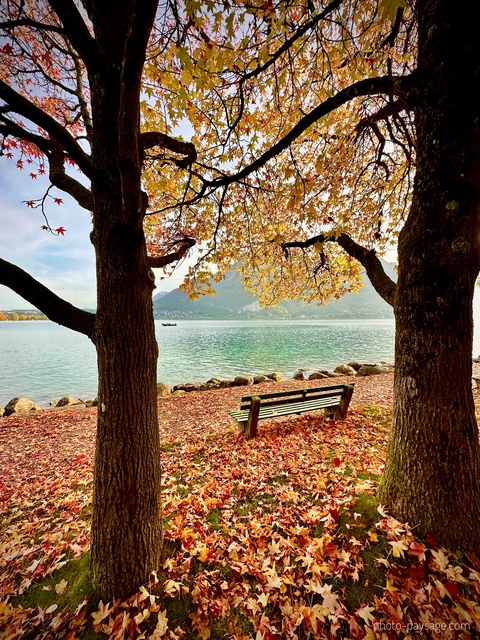 Un banc en automne face au lac d'Annecy
Annecy, Haute-Savoie
Mots-clés: belles-photos-automne Automne categorielac cadrage_vertical feuilles_mortes