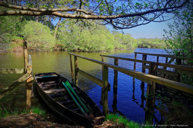 Barque sur le courant d'Huchet
Réserve naturelle du courant d'Huchet, Moliets-et-Maà¢, Landes.
Mots-clés: bateau marecage riviere landes