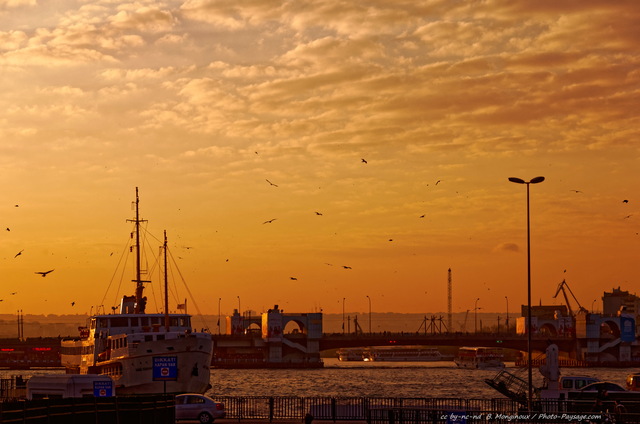 Bateau à  quai sur le Bosphore -1
Istanbul, Turquie
Mots-clés: turquie bateau paysage_urbain crepuscule detroit mer bosphore contre-jour transport_en_commun