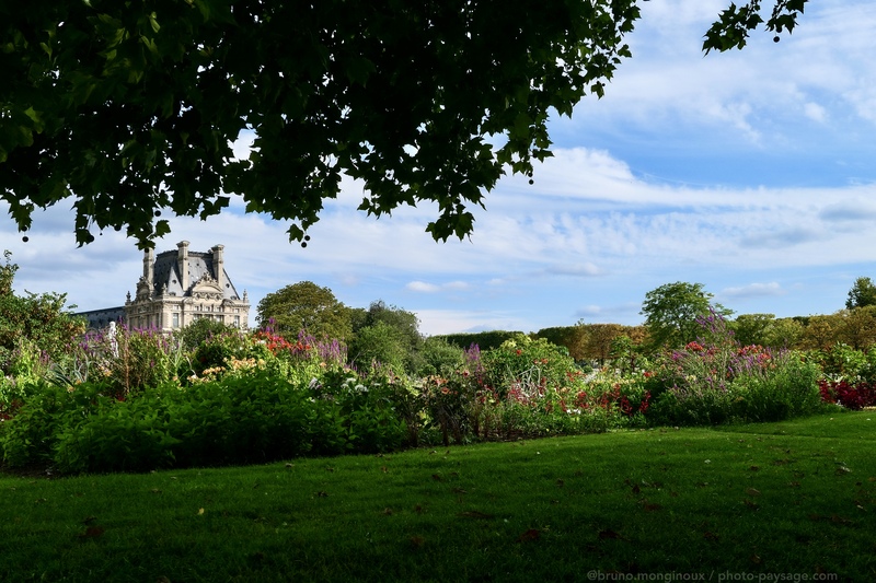  Bel après-midi d’été aux Tuileries
En arrière plan : le Louvre
Jardin des Tuileries, Paris. 
Mots-clés: jardin_public_paris categ_ete pelouse les_plus_belles_images_de_ville