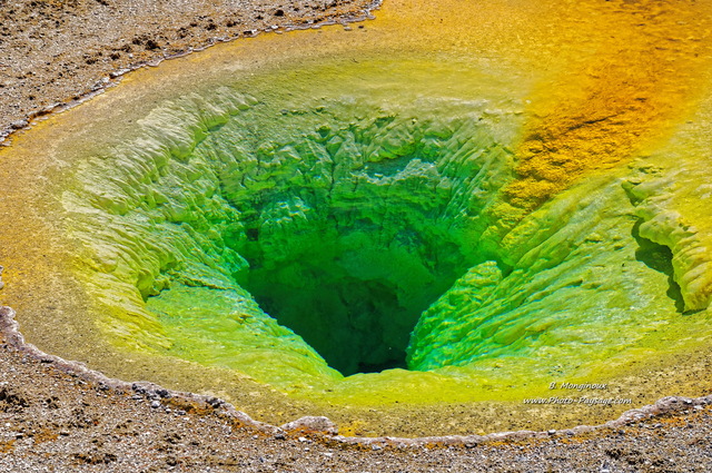 Belgian Pool,  Upper geyser basin
Parc national de Yellowstone, Wyoming, USA
Mots-clés: yellowstone wyoming usa source_thermale