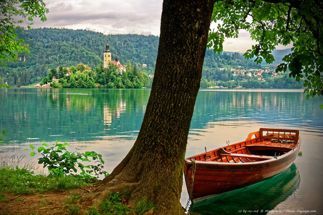 Bled, une barque pour se rendre sur l'île au milieu du lac
Bled, Slovénie
Mots-clés: bled slovenie regle_des_tiers categorielac categ_ete alpes_slovenie foret_slovenie bateau les_plus_belles_images_de_ville