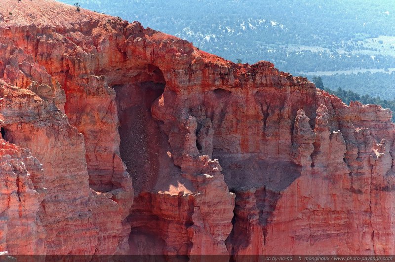 Les Hoodoos vus depuis Bristlecone loop    04
Rainbow point, Bryce Canyon National Park, Utah, USA
Mots-clés: bryce_canyon utah usa nature hoodoo categ_ete
