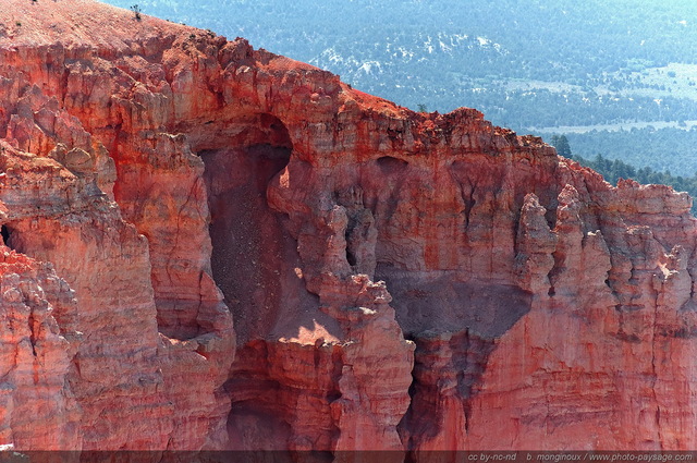 Les Hoodoos vus depuis Bristlecone loop    04
Rainbow point, Bryce Canyon National Park, Utah, USA
Mots-clés: bryce_canyon utah usa nature hoodoo categ_ete