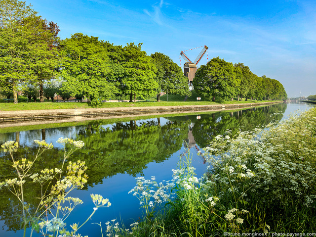 Reflets sur le canal et moulin à  vent
Bruges, Belgique
Mots-clés: Reflet printemps moulin alignement_arbres canal