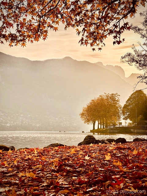 Brume en automne sur le lac d'Annecy
 Annecy, Haute-Savoie
Mots-clés: belles-photos-automne Categorielac brume categoriealpes cadrage_vertical feuilles_mortes
