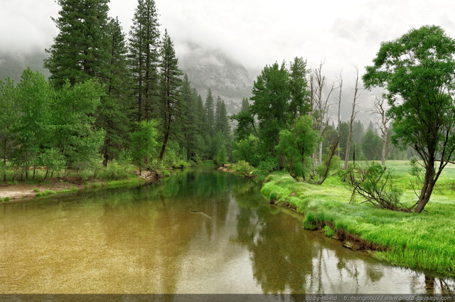 Brume au dessus de la rivière Merced dans le parc national de Yosemite
Yosemite National Park, Californie, USA
Mots-clés: USA etats-unis californie yosemite brume riviere les_plus_belles_images_de_nature foret_usa