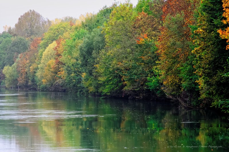 Brume d'automne sur les bords de Marne
[Photos d'automne]
Mots-clés: brume Categ_riv_Marne alignement_d_arbre