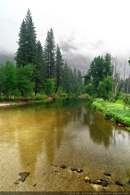 Brume sur la Merced river
Parc National de Yosemite, Californie, USA
Mots-clés: yosemite californie usa riviere foret_usa cadrage_vertical