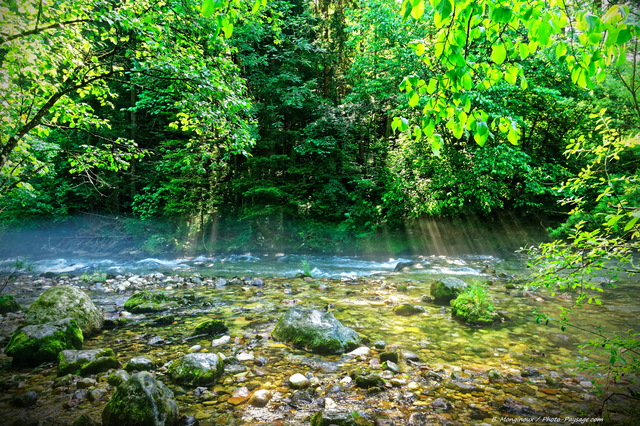 Brume matinale sur la rivière Radovna 
En amont des gorges de Vintgar. 
Parc national du Triglav, Bled, Slovénie
Mots-clés: foret_slovenie riviere brume rayon_de_soleil_en_foret categ_ete alpes_slovenie