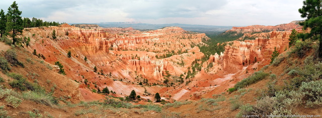 Bryce Amphitheater
Bryce Amphitheater est un cirque naturel immense oà¹ se dressent les Hoodoos, ces surprenants piliers de roche dont la forme fait penser à  des cheminées, typiques des paysages riches en couleurs de Bryce Canyon. Ce paysage est un assemblage de 4 photos grand-angle.

Photographié entre Sunrise Point (sur la gauche) et Sunset Point. 

Bryce Canyon National Park, Utah, USA
Mots-clés: les_plus_belles_images_de_nature bryce_canyon utah usa nature montagne_usa montagne categ_ete hoodoo falaise photo_panoramique