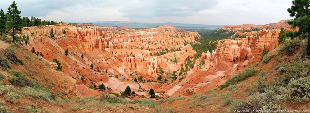 Bryce Amphitheater
Bryce Amphitheater est un cirque naturel immense où se dressent les Hoodoos, ces surprenants piliers de roche dont la forme fait penser à des cheminées, typiques des paysages riches en couleurs de Bryce Canyon. Ce paysage est un assemblage de 4 photos grand-angle.

Photographié entre Sunrise Point (sur la gauche) et Sunset Point. 

Bryce Canyon National Park, Utah, USA
Mots-clés: les_plus_belles_images_de_nature bryce_canyon utah usa nature montagne_usa montagne categ_ete hoodoo falaise photo_panoramique