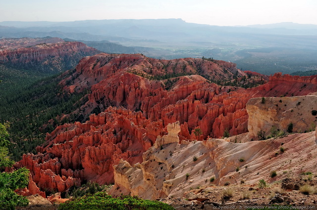 Bryce Point
Bryce Canyon National Park, Utah, USA
Mots-clés: usa bryce_canyon utah etats-unis hoodoo categ_ete