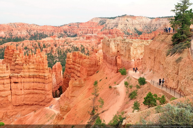 Bryce Canyon  - Descente au pied des Hoodoos à  partir de Sunset Point
Bryce Canyon National Park, Utah, USA
Mots-clés: bryce_canyon utah usa nature hoodoo categ_ete sentier
