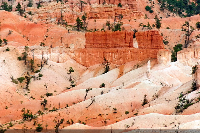 Un paysage lunaire parmi les Hoodoos de Bryce Canyon
Bryce Canyon National Park, Utah, USA
Mots-clés: bryce_canyon utah usa nature hoodoo categ_ete