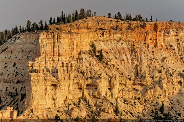 Bryce Point photographié depuis Sunset Point
Bryce Canyon National Park, Utah, USA
Mots-clés: bryce_canyon utah usa nature hoodoo categ_ete montagne_usa