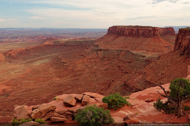 Canyonlands : paysage spectaculaire au bord de la falaise
Island in the sky, Canyonlands National Park, Utah, USA
Mots-clés: canyonlands utah usa desert montagne_usa