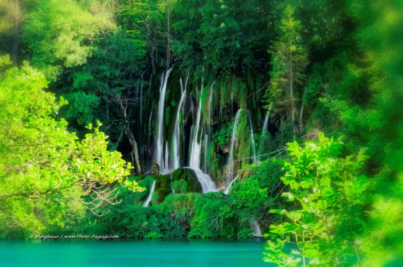 Une très belle cascade dont les fins filets d'eau coulent avec grâce sur les rochers
Au détour d'une promenade au bord d'un des lac du parc national de Plitvice, Croatie
Mots-clés: cascade croatie plitvice UNESCO_patrimoine_mondial nature croatie