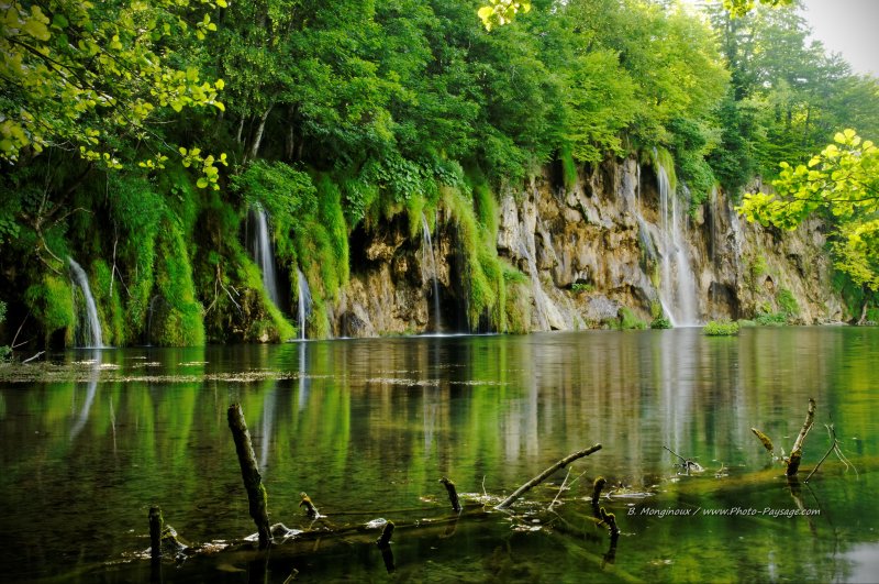 De petit ruisseaux se frayent un chemin à travers la forêt, pour finir en cascade et alimenter un des nombreux lacs de Plitvice
Parc National de Plitvice, Croatie
Mots-clés: les_plus_belles_images_de_nature cascade reflets arbre_mort categorielac croatie tronc plitvice UNESCO_patrimoine_mondial nature croatie