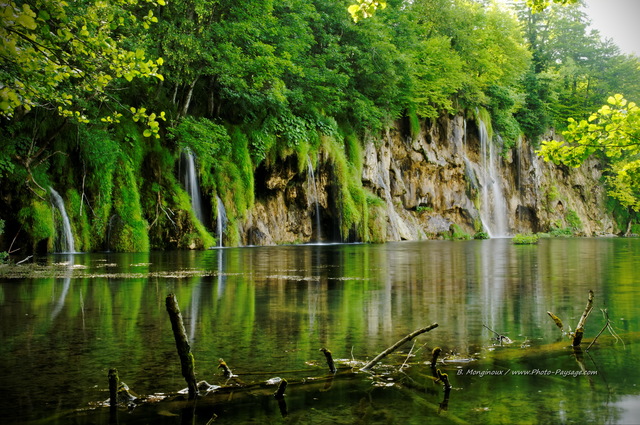 De petit ruisseaux se frayent un chemin à  travers la forêt, pour finir en cascade et alimenter un des nombreux lacs de Plitvice
Parc National de Plitvice, Croatie
Mots-clés: les_plus_belles_images_de_nature cascade reflets arbre_mort categorielac croatie tronc plitvice UNESCO_patrimoine_mondial nature croatie