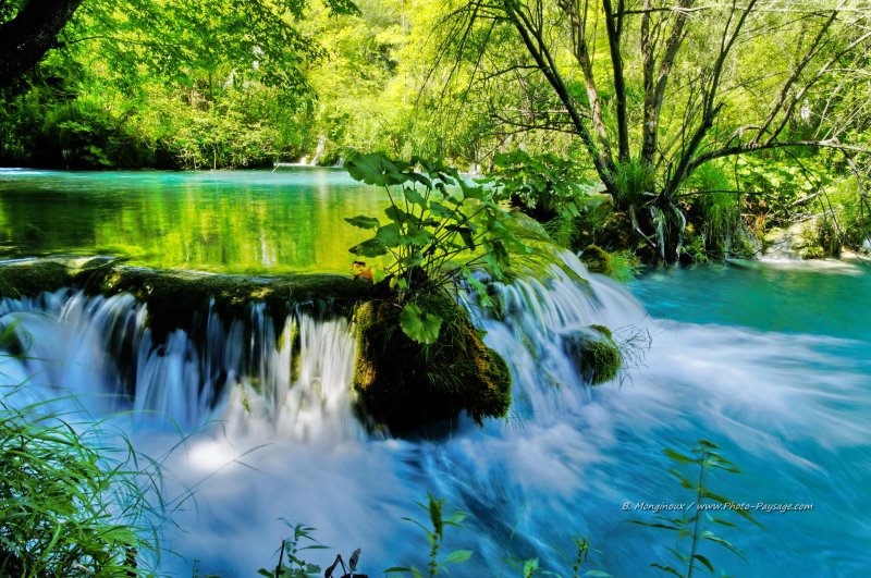 Petits lacs bleu-turquoises, rivières et cascades, visions magiques et paradisiaques.... 
Parc National de Plitvice, Croatie
Mots-clés: les_plus_belles_images_de_nature cascade categorielac croatie plitvice UNESCO_patrimoine_mondial nature croatie