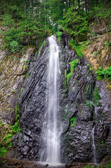 Cascade du Queureuilh
Mont-Dore, Auvergne
Mots-clés: cascade riviere categorieautreforet auvergne cadrage_vertical