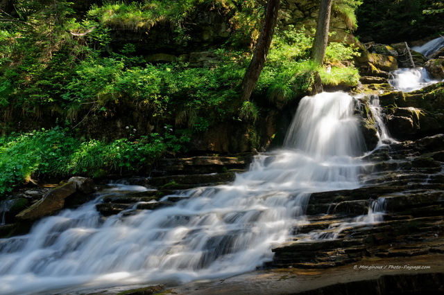 Cascade sur la Dranse de Montriond
Les Lindarets, Haute-Savoie
Mots-clés: categ_ete cascade