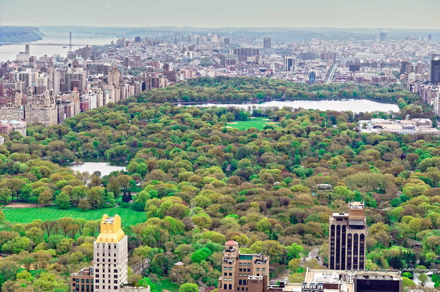 Central park
Vu depuis le 